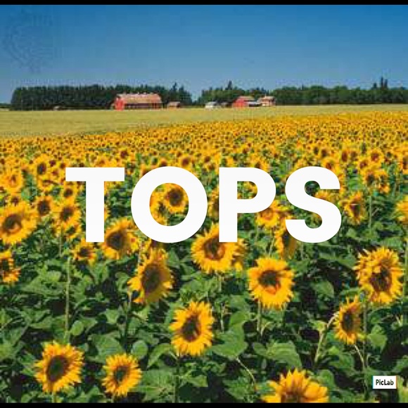 TOPS - Picture 1 of 1